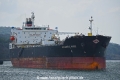 Atlantic Muse OS-140318-03.jpg
