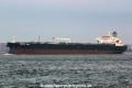Black Sea (190305-12-MS).jpg