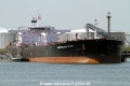 Australian Spirit (MM-240510-1).jpg