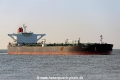 Gulf Loyalty (MM-250324-2).jpg