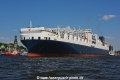 Atlantic Sun 090518-15.jpg
