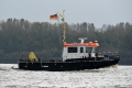 Pirol 151014.jpg