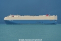 Clover Ace OS-261019-10.jpg