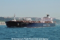Besiktas Bosphorus (LW-100613-11).jpg