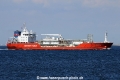 Coral Alicia (MS-290716-04).jpg