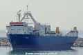 Sakeel (221006-2).jpg