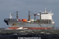 Arosia SH-140414-01.jpg