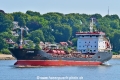 Anton (KB-D150723-01).jpg