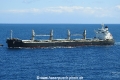 Alpha Flame (LW-220923-01).jpg