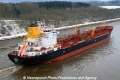 Aurelia JB-200113-03.jpg