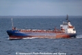 Viscaria (MB-110512-1).jpg