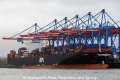 APL Chongqing (KB-D080112-01).jpg