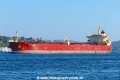 Beks Lotus (OK-260823-1).jpg