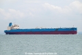Halcyon OS-091022-09.jpg