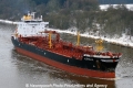 Aurelia JB-200113-01.jpg