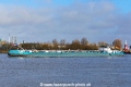 Holstein (OK-260221-0).jpg