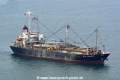 New Sailing 1 HK-090117-1.jpg