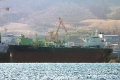 Front Princess (MS-010118-06).jpg