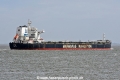 Aris T JG-120825-4.jpg