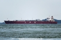 Clipper Sun OS-181016-03.jpg