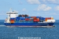 Baltic Whale JG-060925-1.jpg