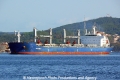 Almandin (OK-280913-1).jpg