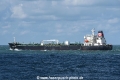 Atlantic Muse OS-230820-14.jpg