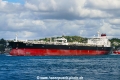 Beks Loyal (OK-110923-0).jpg