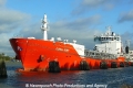 Coral Ivory (OK-291013-0).jpg