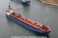 Viscaria (TJ-220308-03).jpg
