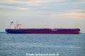 Hillah OS-091022-15.jpg