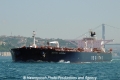 Besiktas Bosphorus (LW-100613-09).jpg