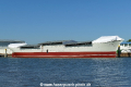 Peking (KK-180918-1).jpg