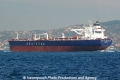 Besiktas Dardanelles (OK-111013-2).jpg