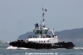 Cepheus RV-05112011-02.jpg