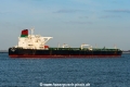 Gulf Loyalty (MM-250324-3).jpg