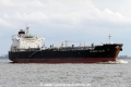 Atlantic Olive (KK-060316-1).jpg