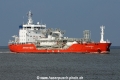 Coral Anthelia JG-230314-02.jpg