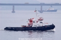 C Trovao 240305-1.jpg
