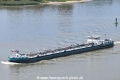 Holstein 140823-1.jpg