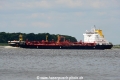 Aurelia 290514.jpg