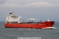 Atlantic Olive OS-120811-02.jpg