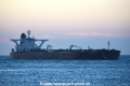 Gener8 Ulysses OS-120816-01.jpg