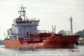 Coral Electra (OK-311011-1).jpg