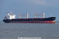 Alsea Bay (OK-200619-0).jpg