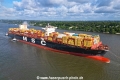 MSC Natasha XIII (KB-D110824-02).jpg
