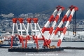 Musashi OS-280325-01.jpg
