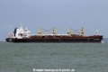 JPO Delphinus (MS-080814-25).jpg