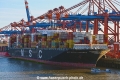 MSC Maria Saveria OS-091121-13.jpg