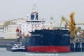 Sandpiper Pacific TL-020226-1.jpg